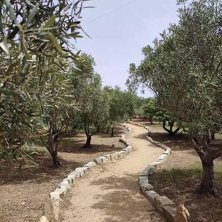 Stazzu Barecca B&B Cugnana Verde エクステリア 写真